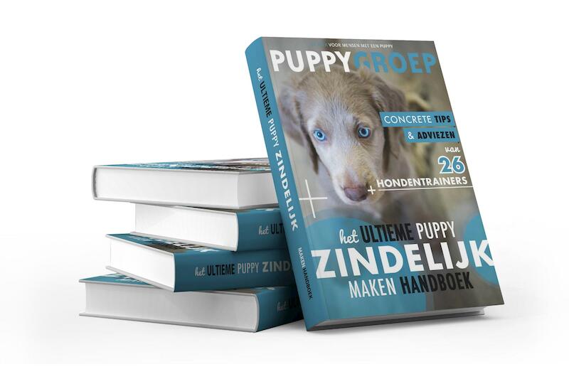 Het ultieme puppy zindelijk maken handboek - Robbin Kleinpenning (ISBN 9789082578706)