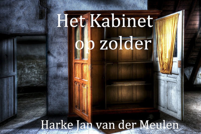 Het Kabinet op zolder - Harke Jan van der Meulen (ISBN 9789492719416)