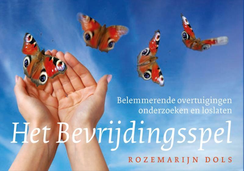 Het bevrijdingsspel - Rozemarijn Dols (ISBN 9789089653925)