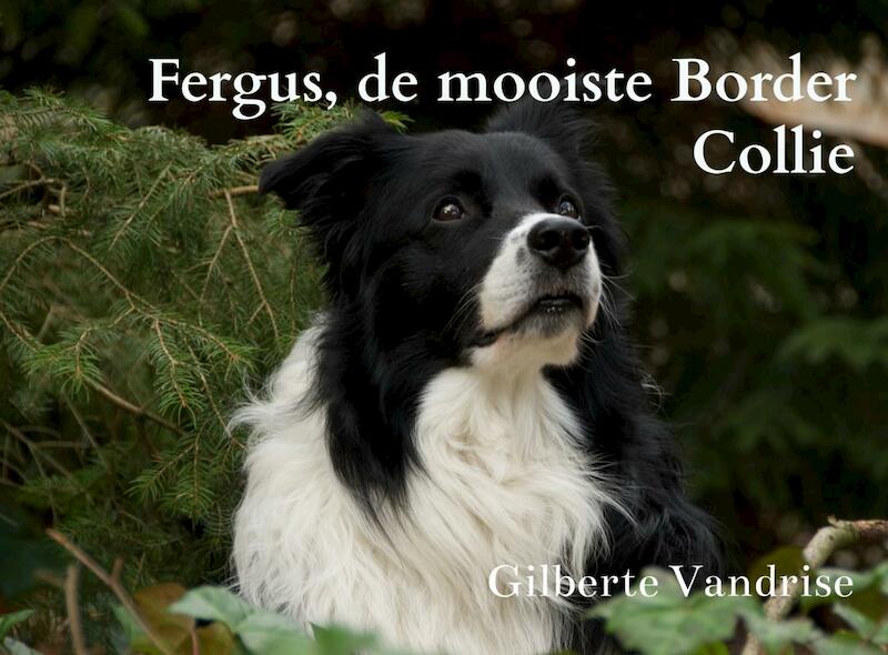 Fergus, de mooiste Border Collie - Gilberte Vandrise (ISBN 9789464058383)