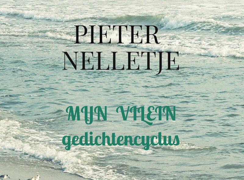 MIJN VILEIN - Pieter Nelletje (ISBN 9789403709604)