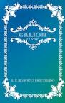 Galion. - L. F. Requena Figueredo (ISBN 9789403693767)