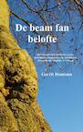 De beam fan belofte - Gerrit Damsma (ISBN 9789402162585)