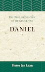 De Gezichten in het Boek van Daniel - Pieter Jan Laan (ISBN 9789057195341)