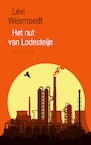 Het nut van Lodesteijn - Lévi Weemoedt (ISBN 9789038810645)