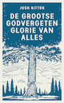 De grootse godvergeten glorie van alles - Josh Ritter (ISBN 9789038811475)