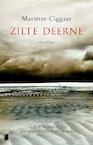 Zilte deerne - Mariëtte Ciggaar (ISBN 9789022553749)