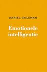 Emotionele intelligentie - Daniël Goleman (ISBN 9789047017264)