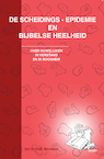 De scheiding-epidemie en bijbelse heelheid - Sietse H.W. Werkman (ISBN 9789461534026)