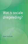 Wat is sociale driegeleding? - Peter Schilinski (ISBN 9789492326843)