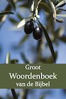 Groot Woordenboek van de Bijbel I-N - W. Moll, P.J. Veth, F.J. Domela Nieuwenhuis (ISBN 9789057195457)