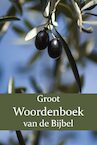 Groot Woordenboek van de Bijbel O-Z - W. Moll, P.J. Veth, F.J. Domela Nieuwenhuis (ISBN 9789057195464)