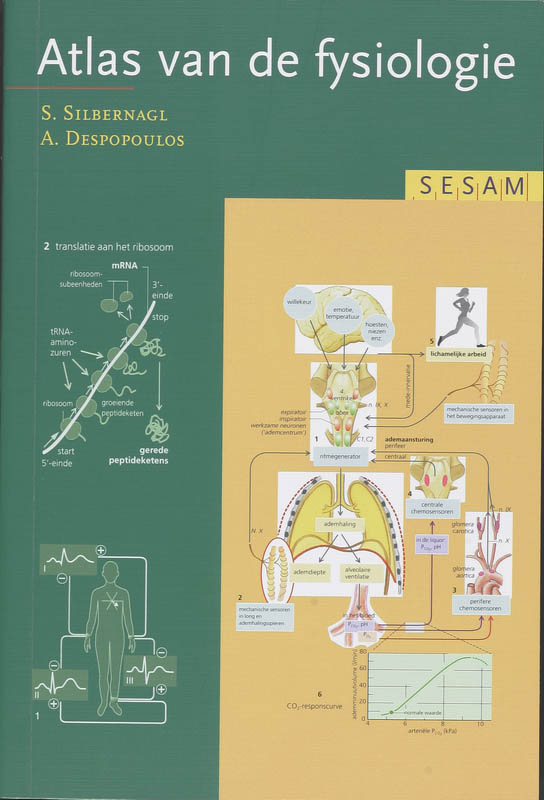 BS Atlas van de fysiologie (e-Book) - Stefan Silbernagl